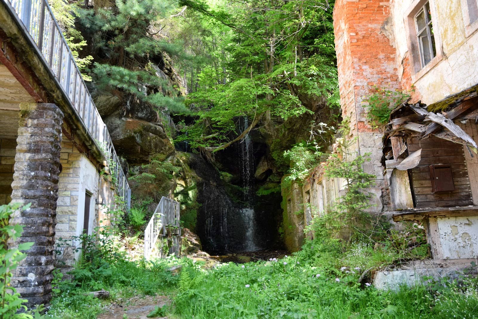 Vertical photo