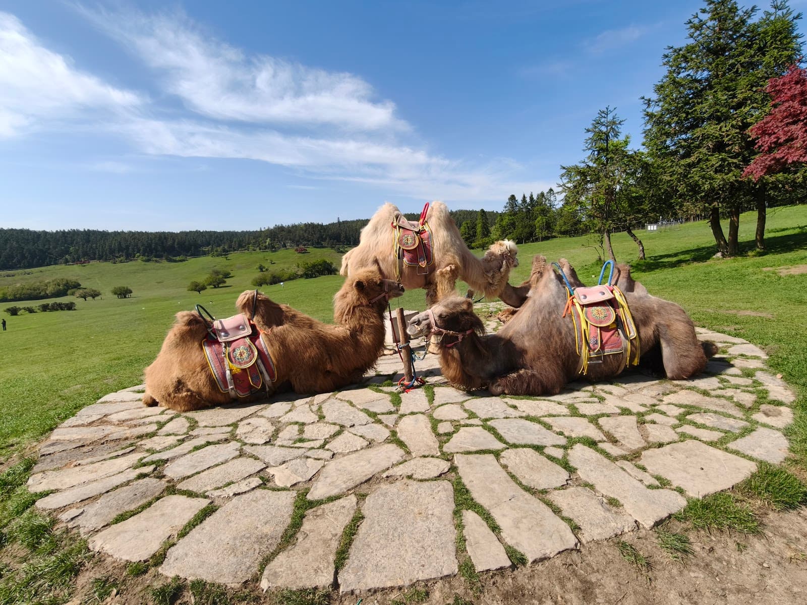 Fairy Mountain National Forest Park Wulong - Image 1