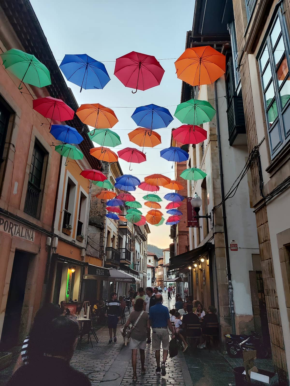 Vertical photo