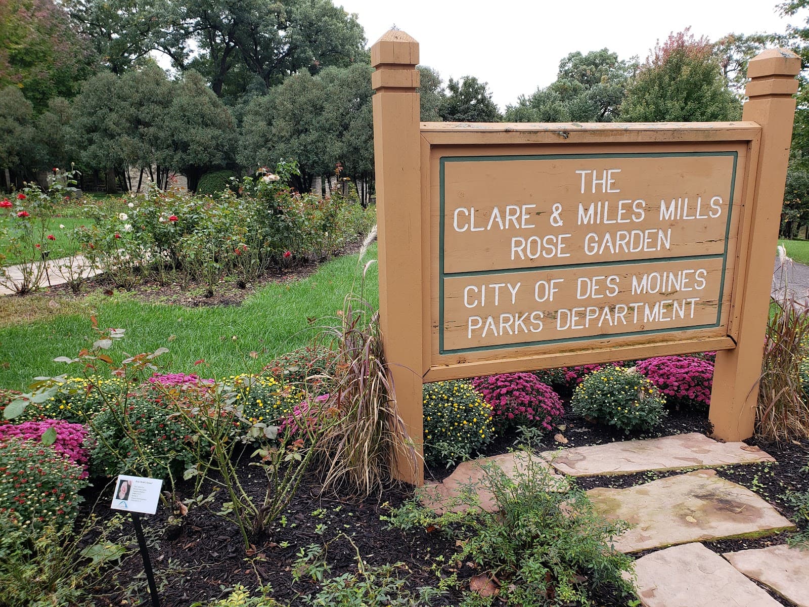 Clare and Miles Mills Rose Garden - Image 1