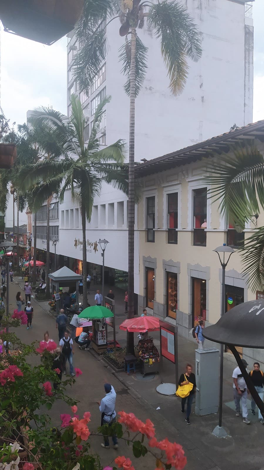 Junín Pedestrian Street - Image 1