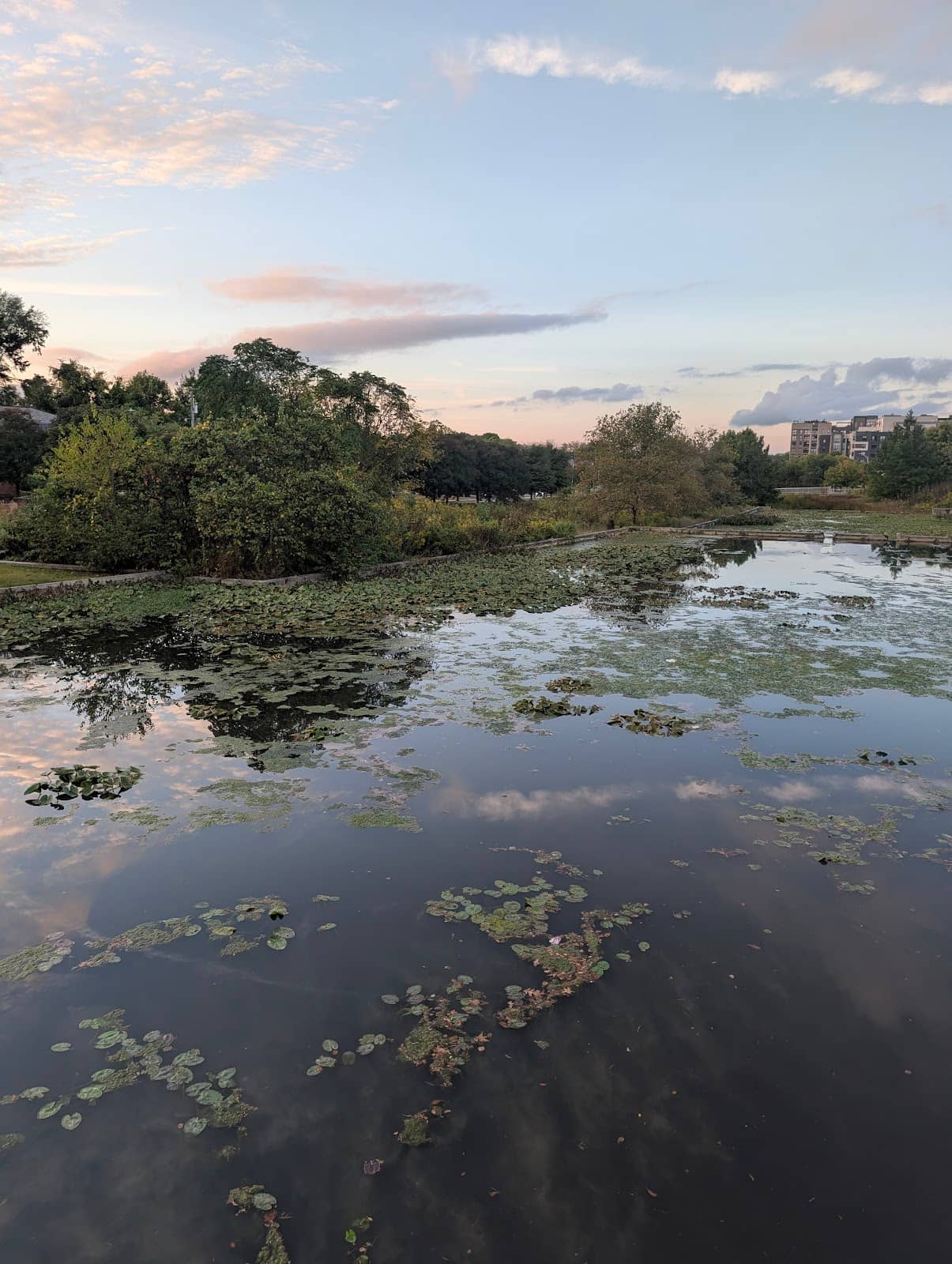Peaceful Observation Points