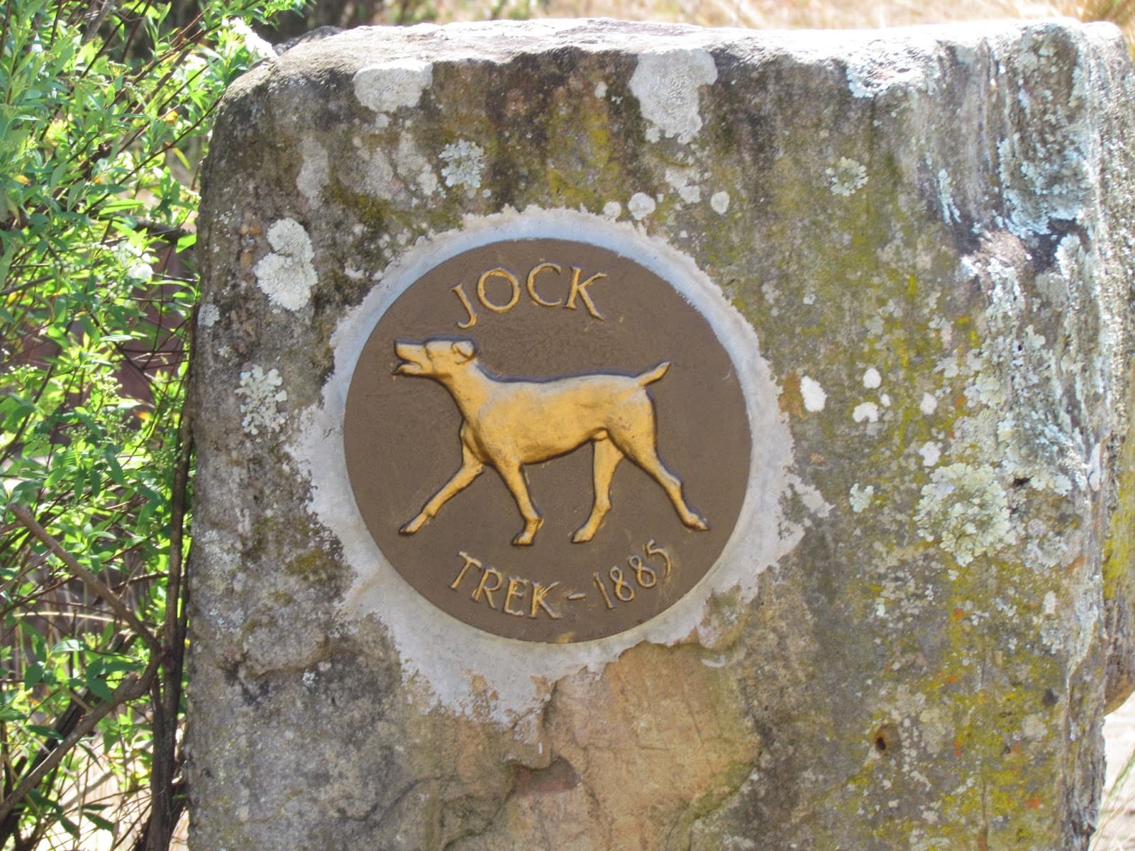 Jock of the Bushveld Memorial (Kruger) - Image 1