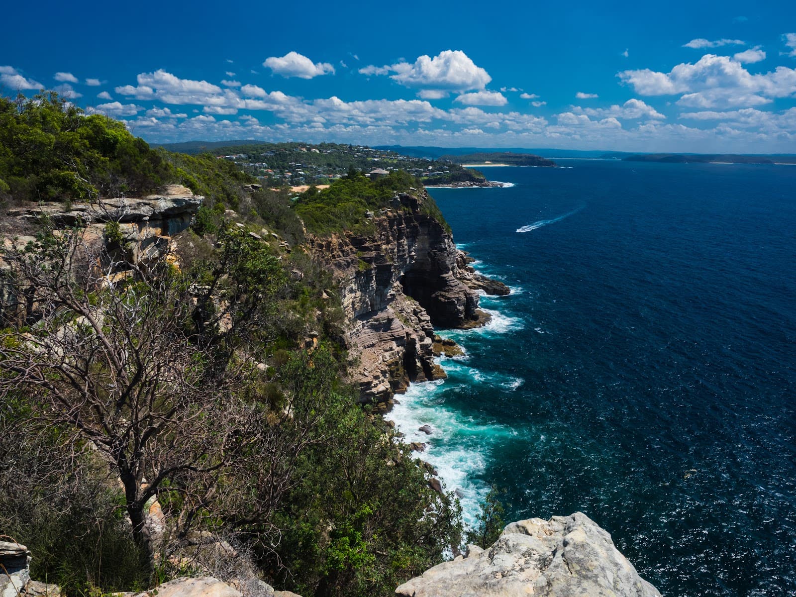 Bangalley Headland Lookout - Image 1
