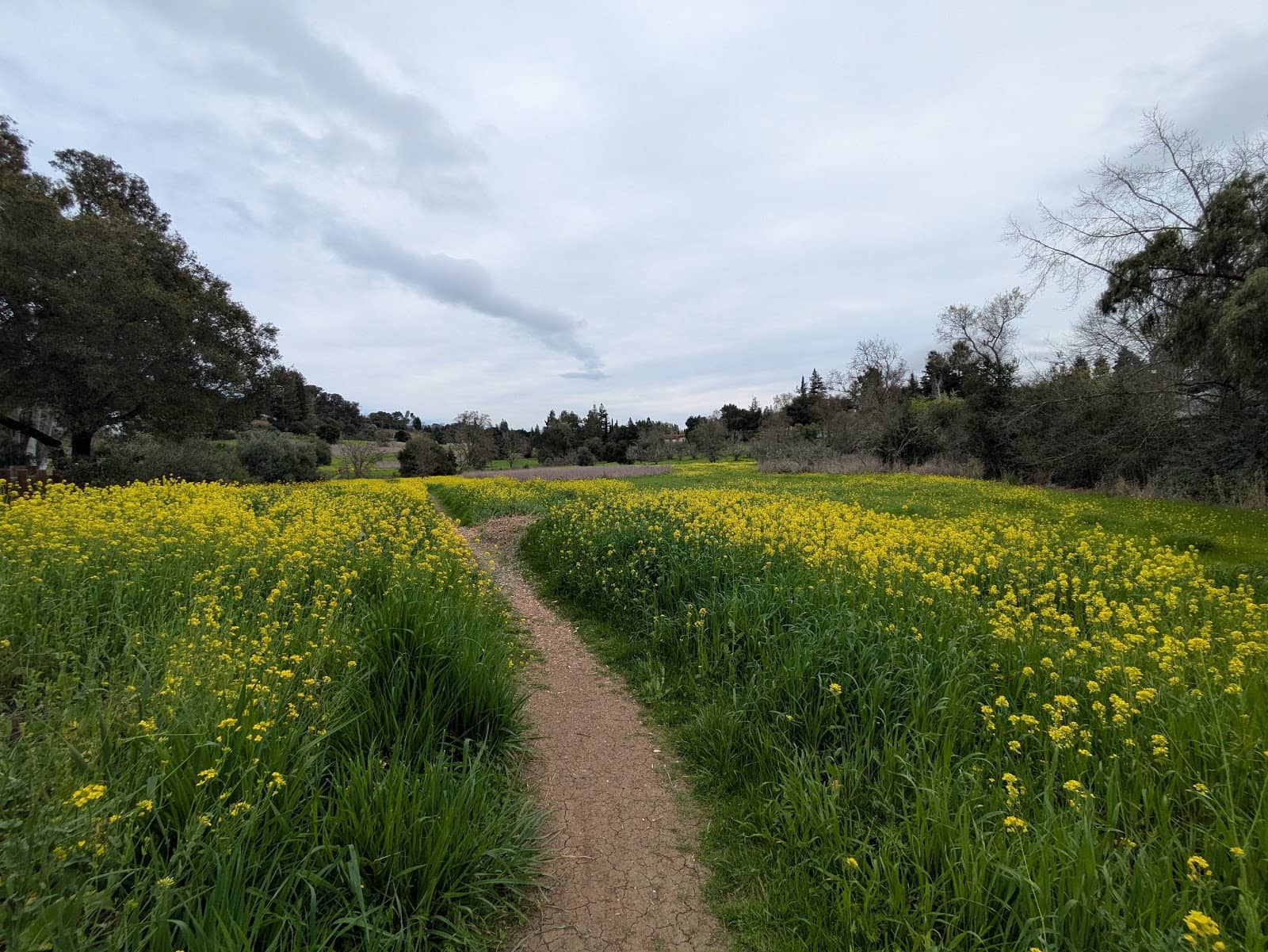 Bird Watching Opportunities