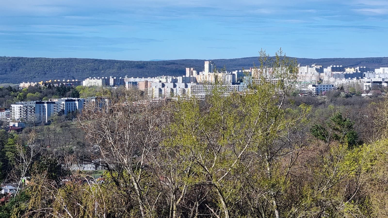 Karlova Ves - Image 1