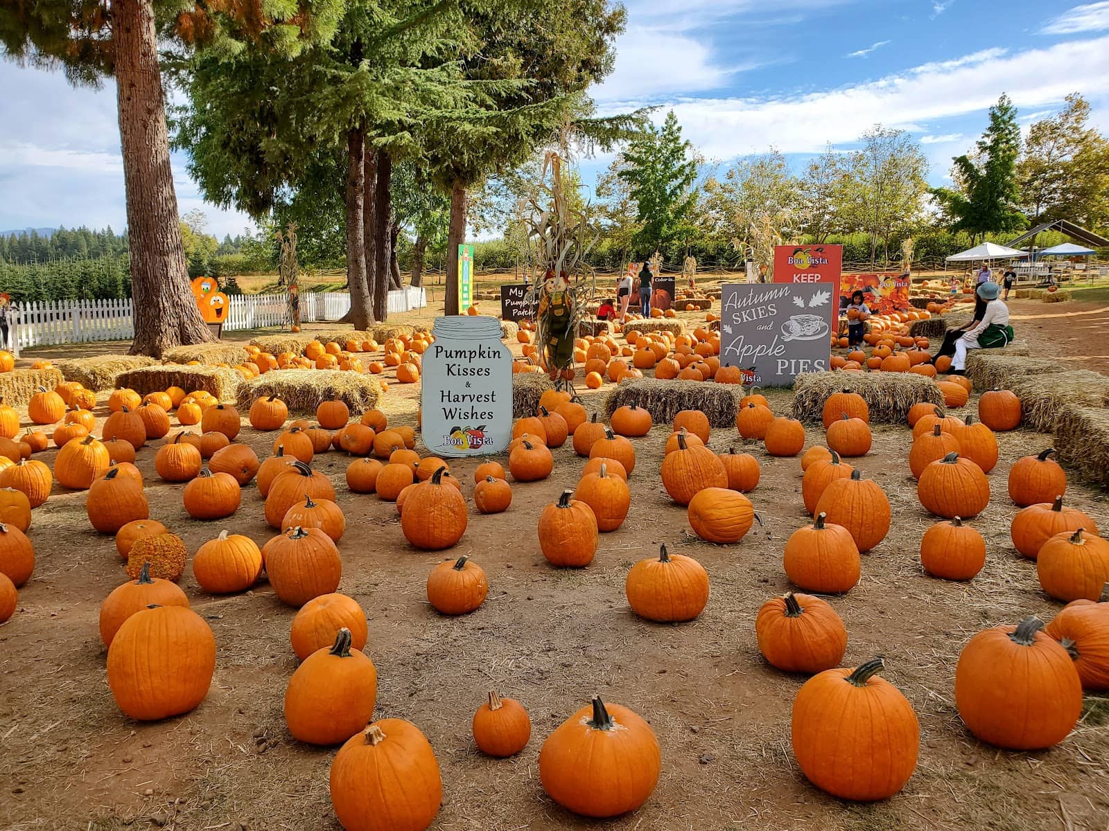 Wine & Cider Tasting
