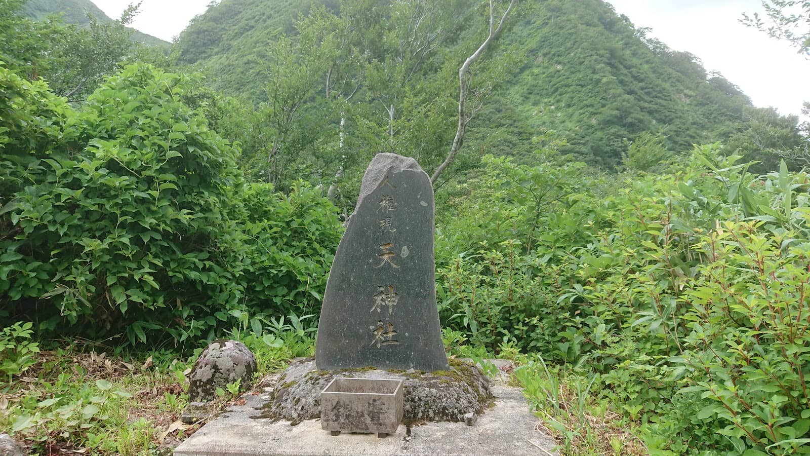 Vertical photo