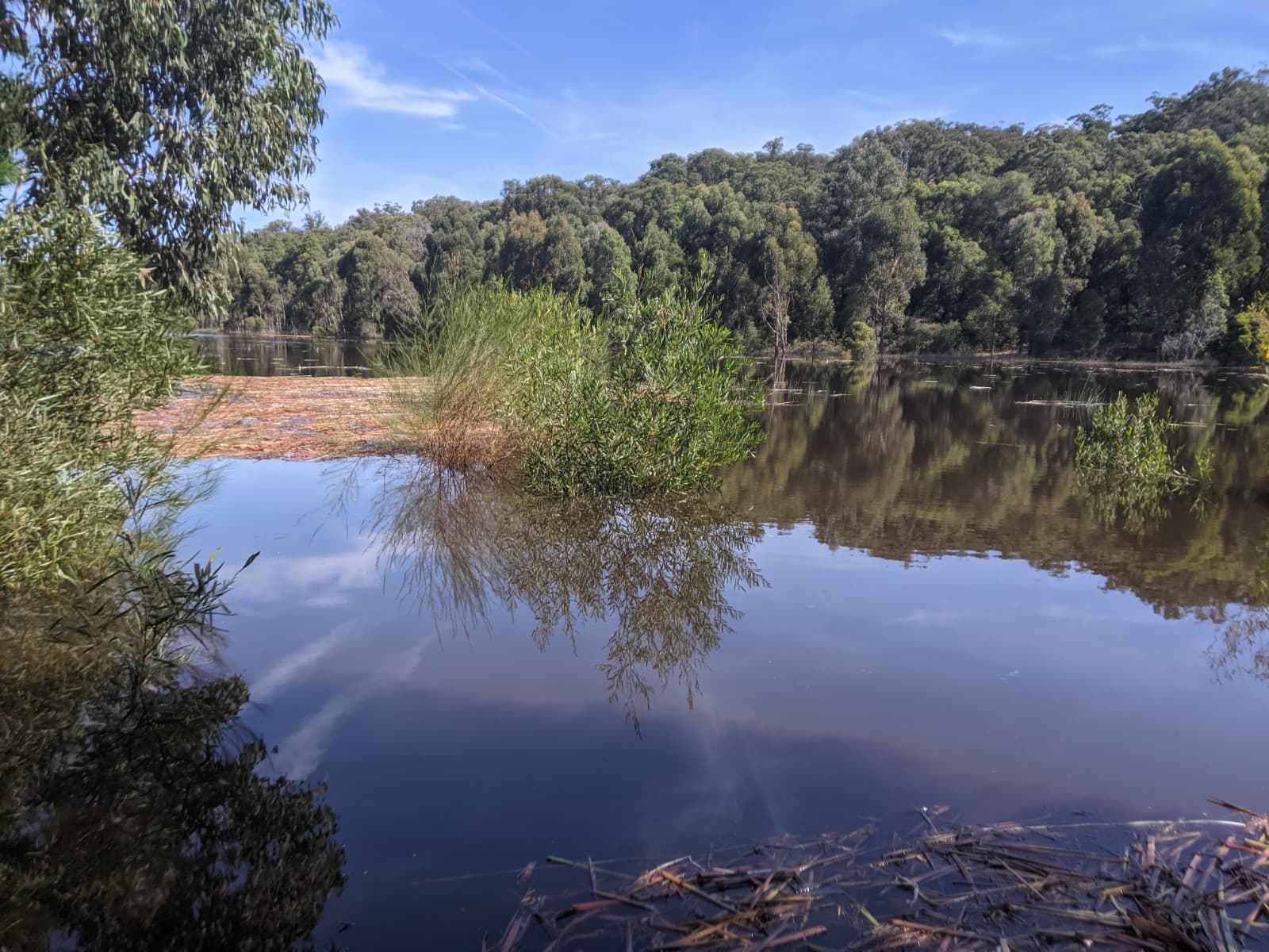 Thirlmere Lakes National Park - Image 1