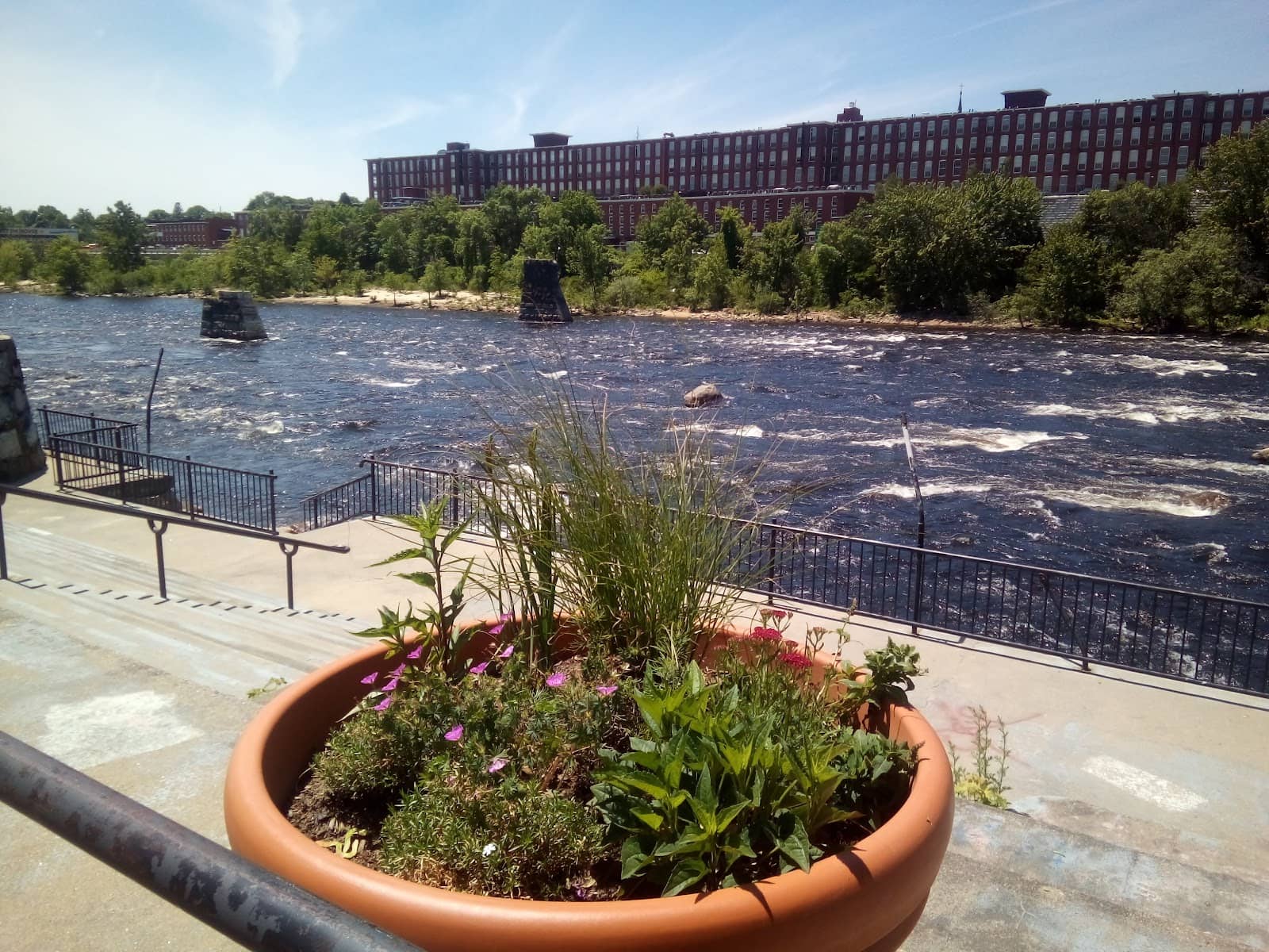 Riverside Stroll