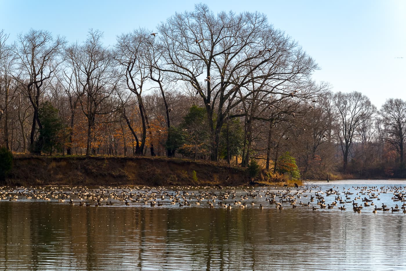 Wye Island NRMA - Image 1