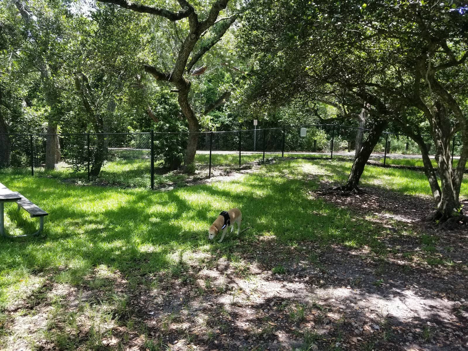 Picnic & Fishing Spots