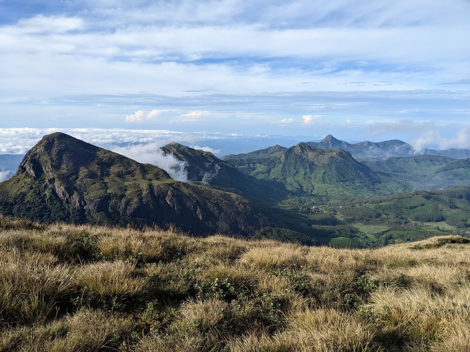 Rhodo Valley Meesapulimala Base - Image 1