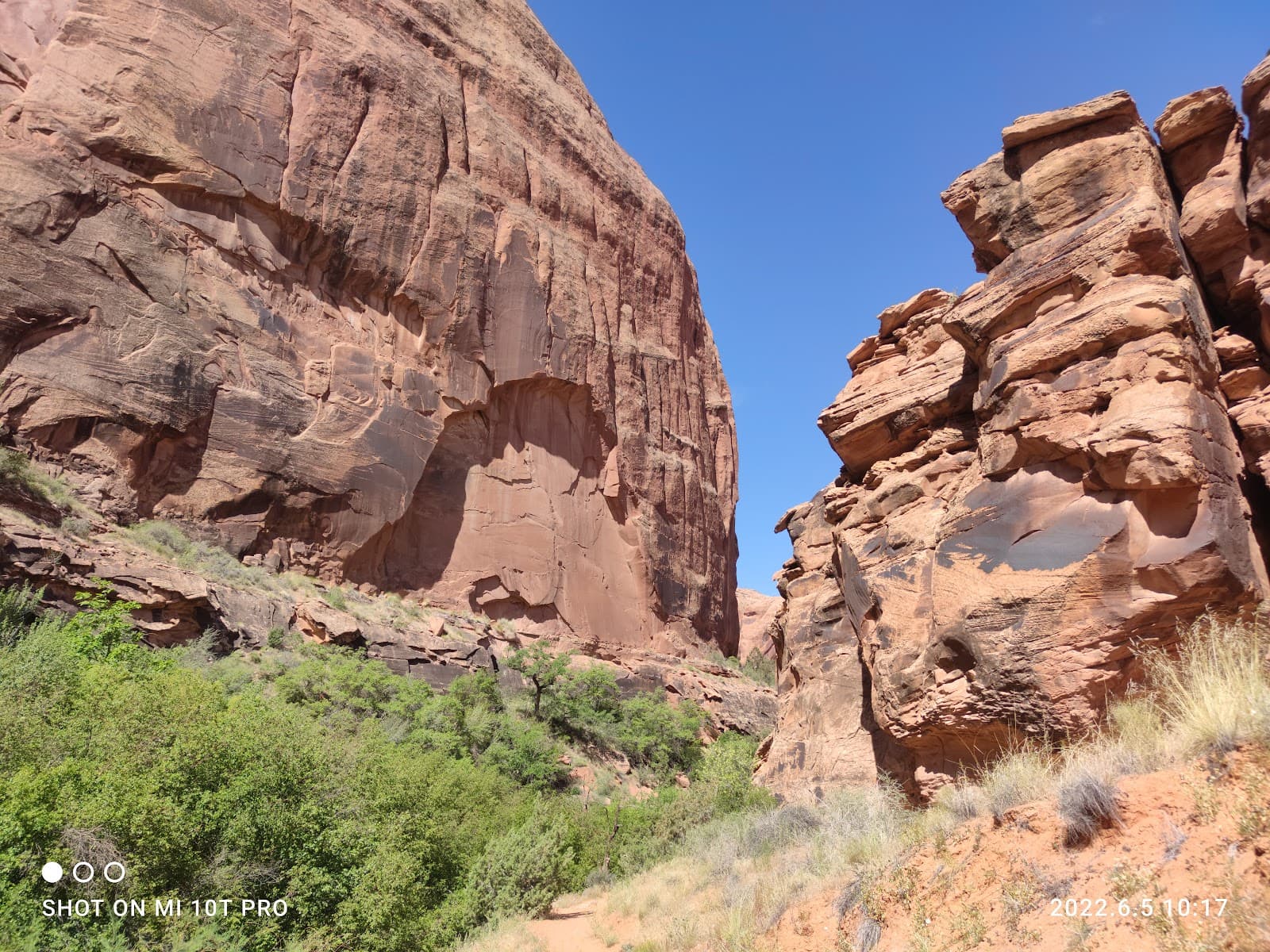 Morning Glory Arch - Image 1