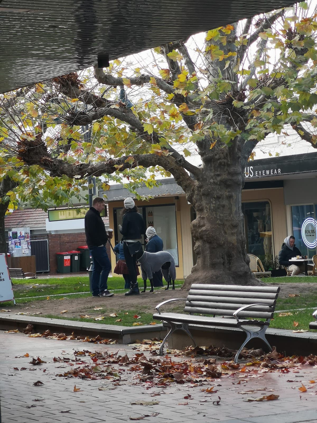 Manuka Canberra - Image 1