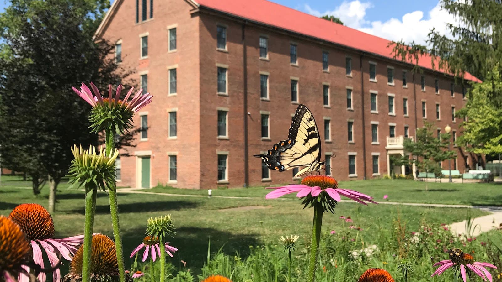Antioch College Campus - Image 1