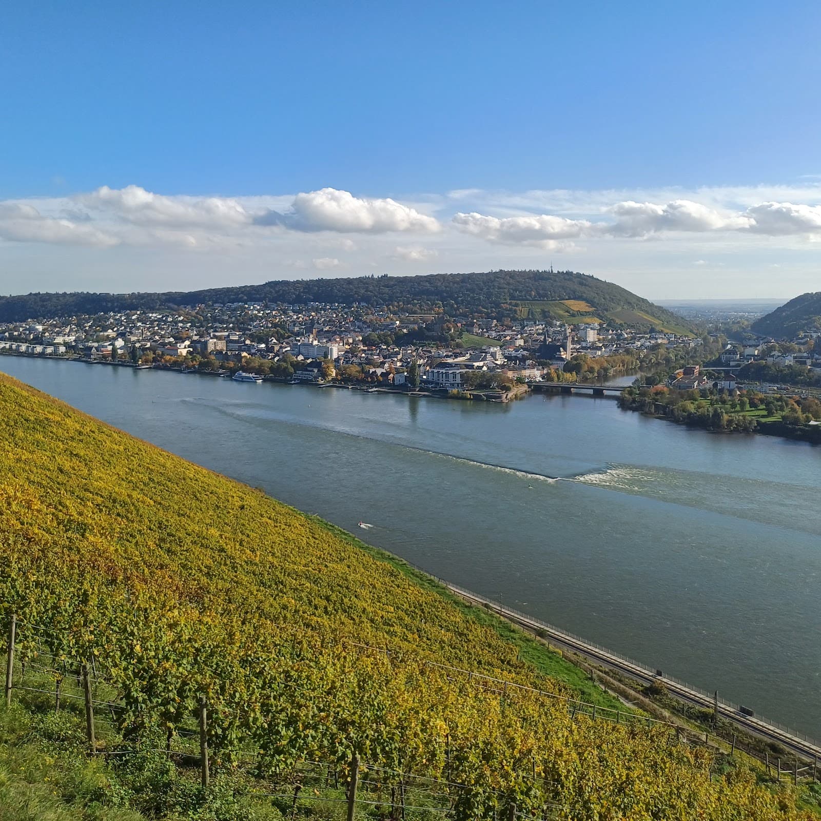 Binger Loch Viewpoint - Image 1