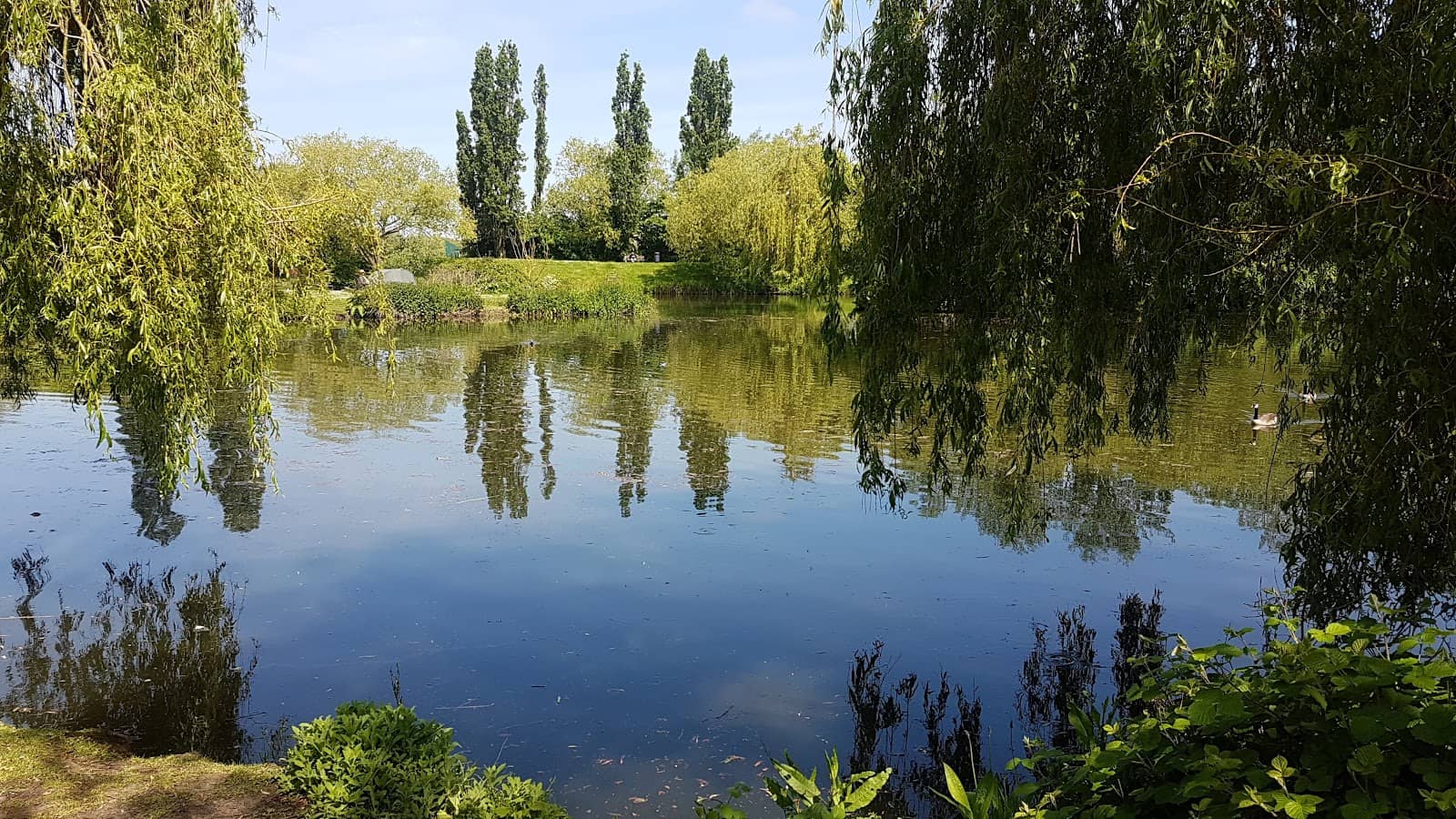 Peaceful Lakeside Strolls