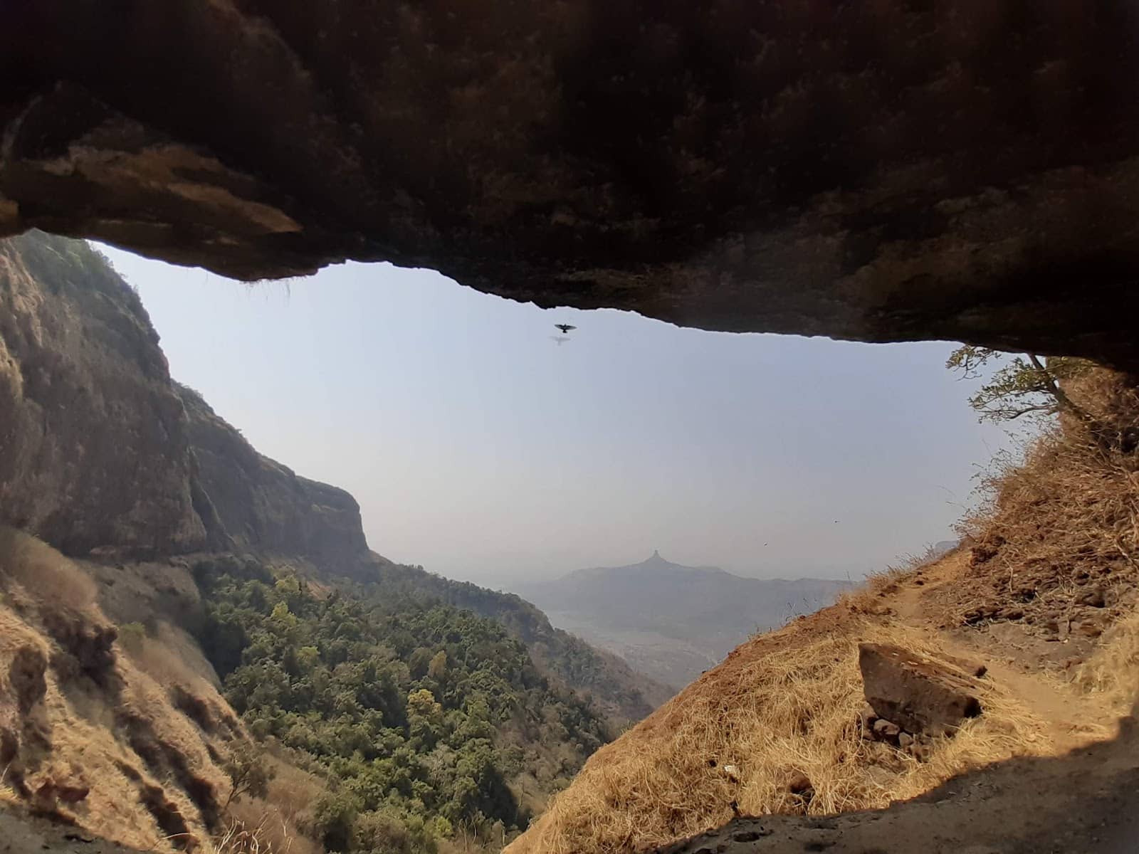 Vertical photo