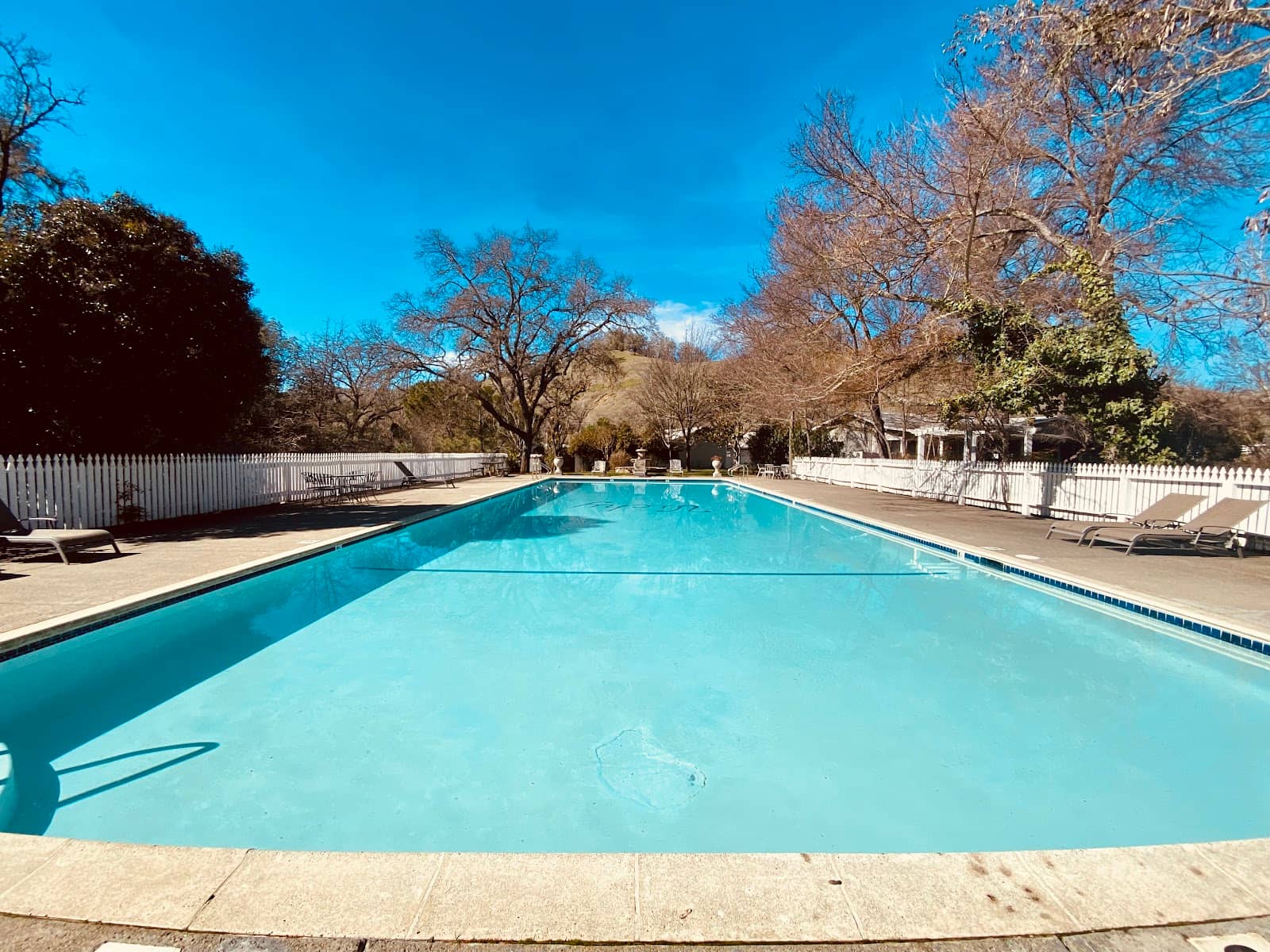 Olympic-Sized Pool