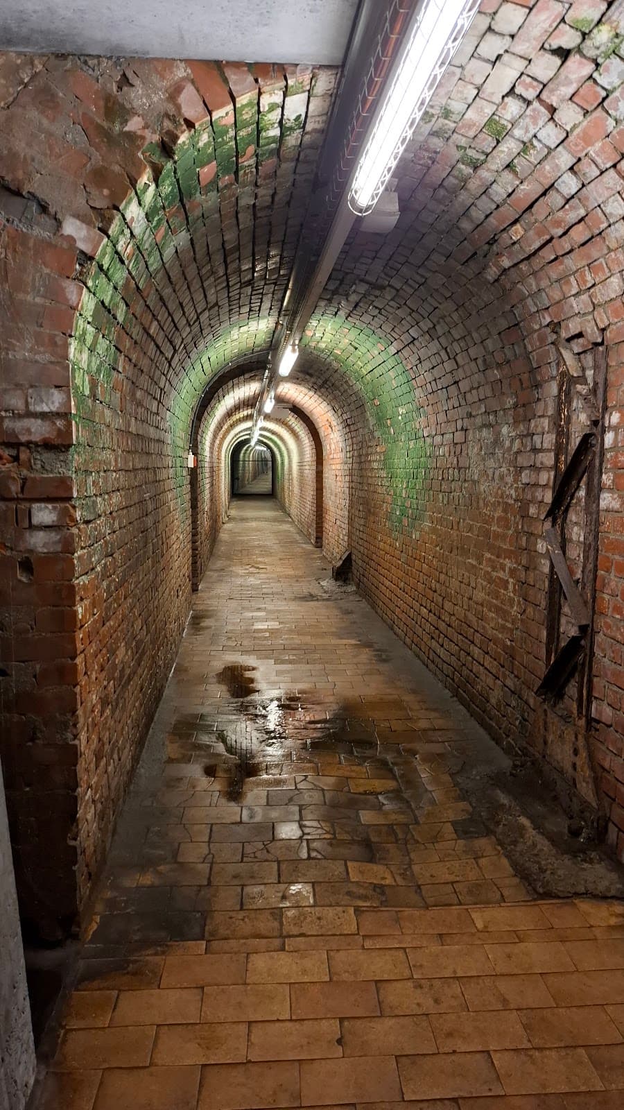 C-mine Expedition - Image 1