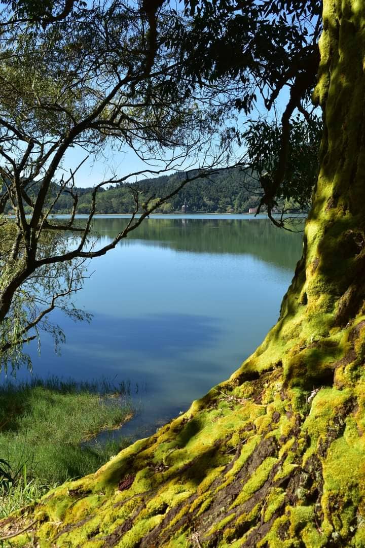 Third hero image
