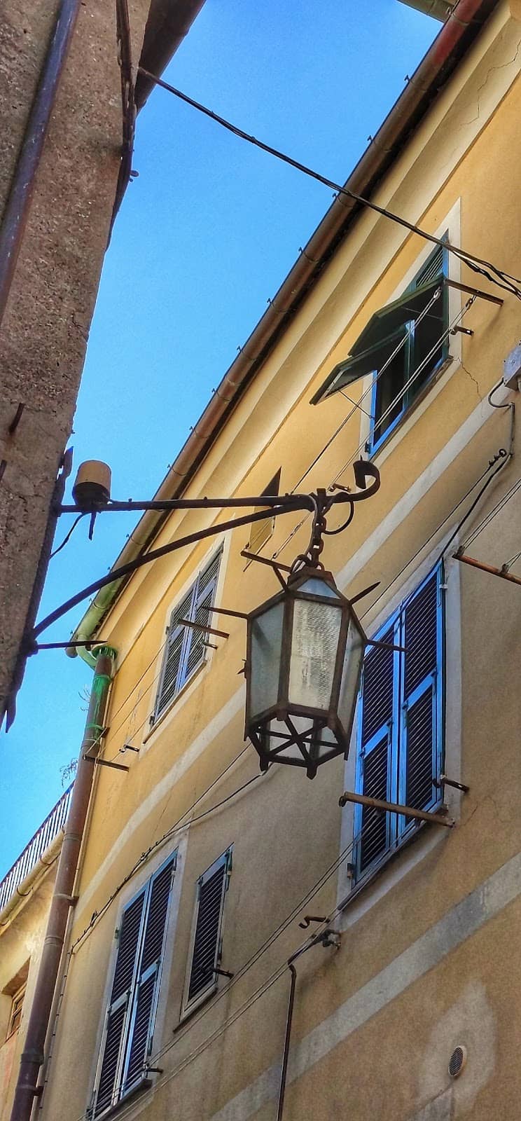 Vertical photo