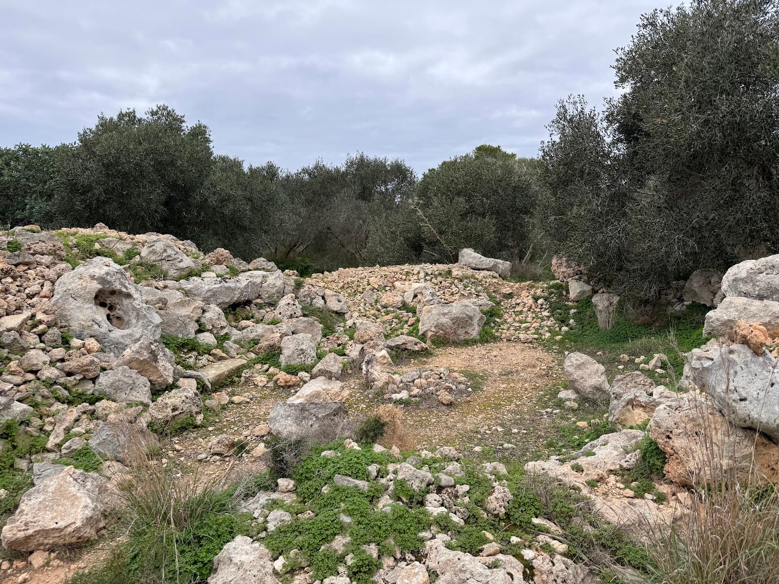 Miżieb Woodland - Image 1