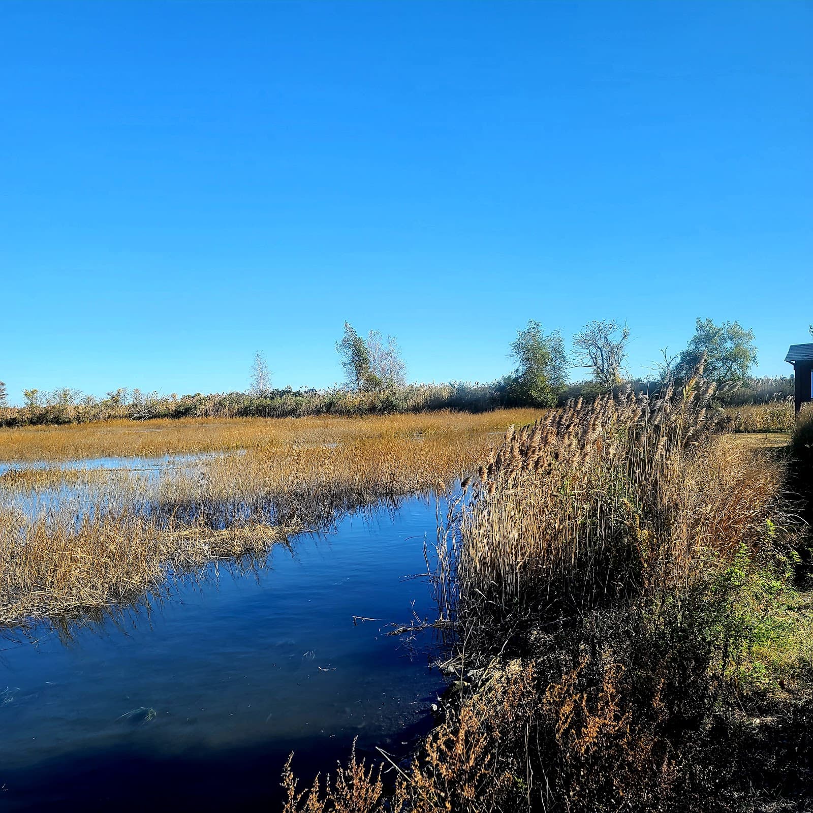 Great Meadows Marsh - Image 1