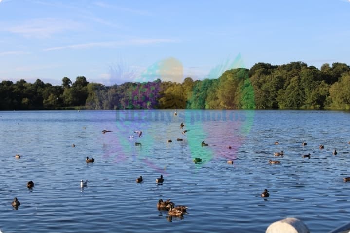 Redesmere Lake - Image 1