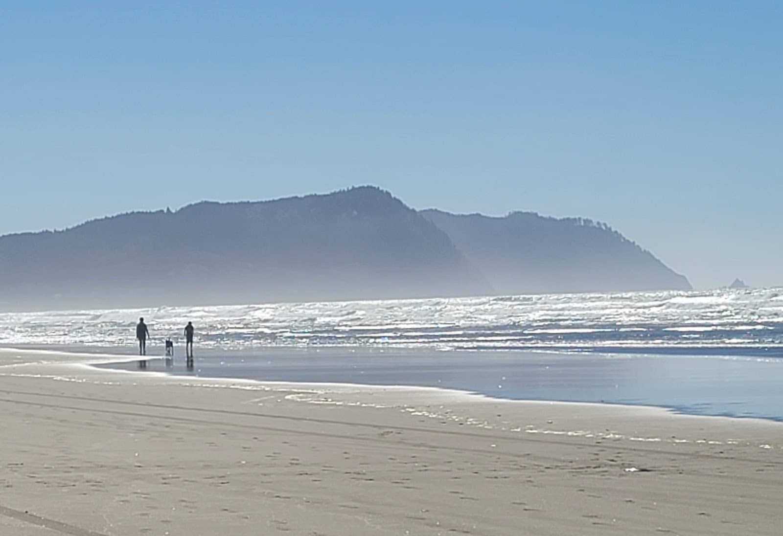 Horseback Riding Trails