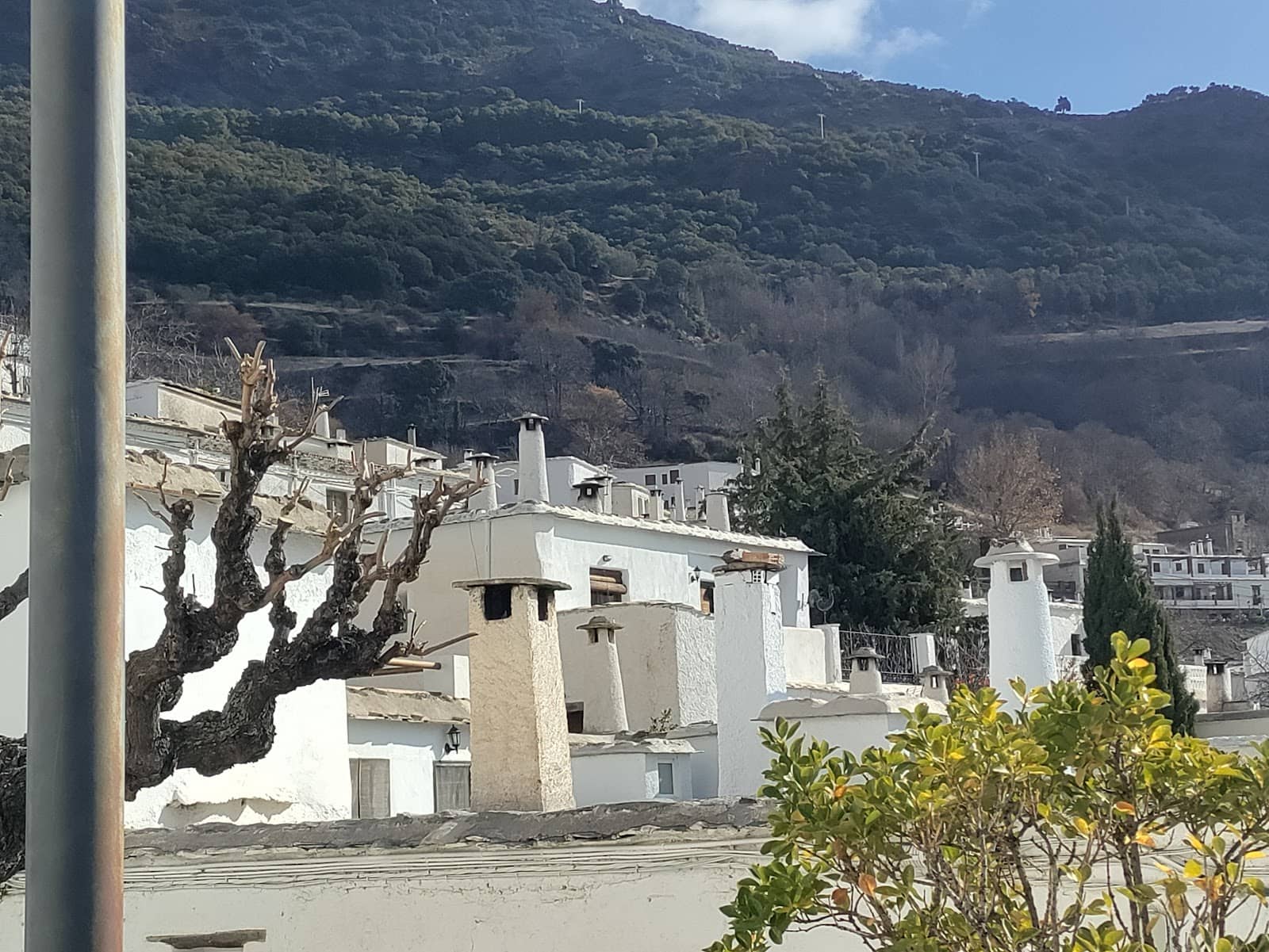 Artisan Weaving Workshop