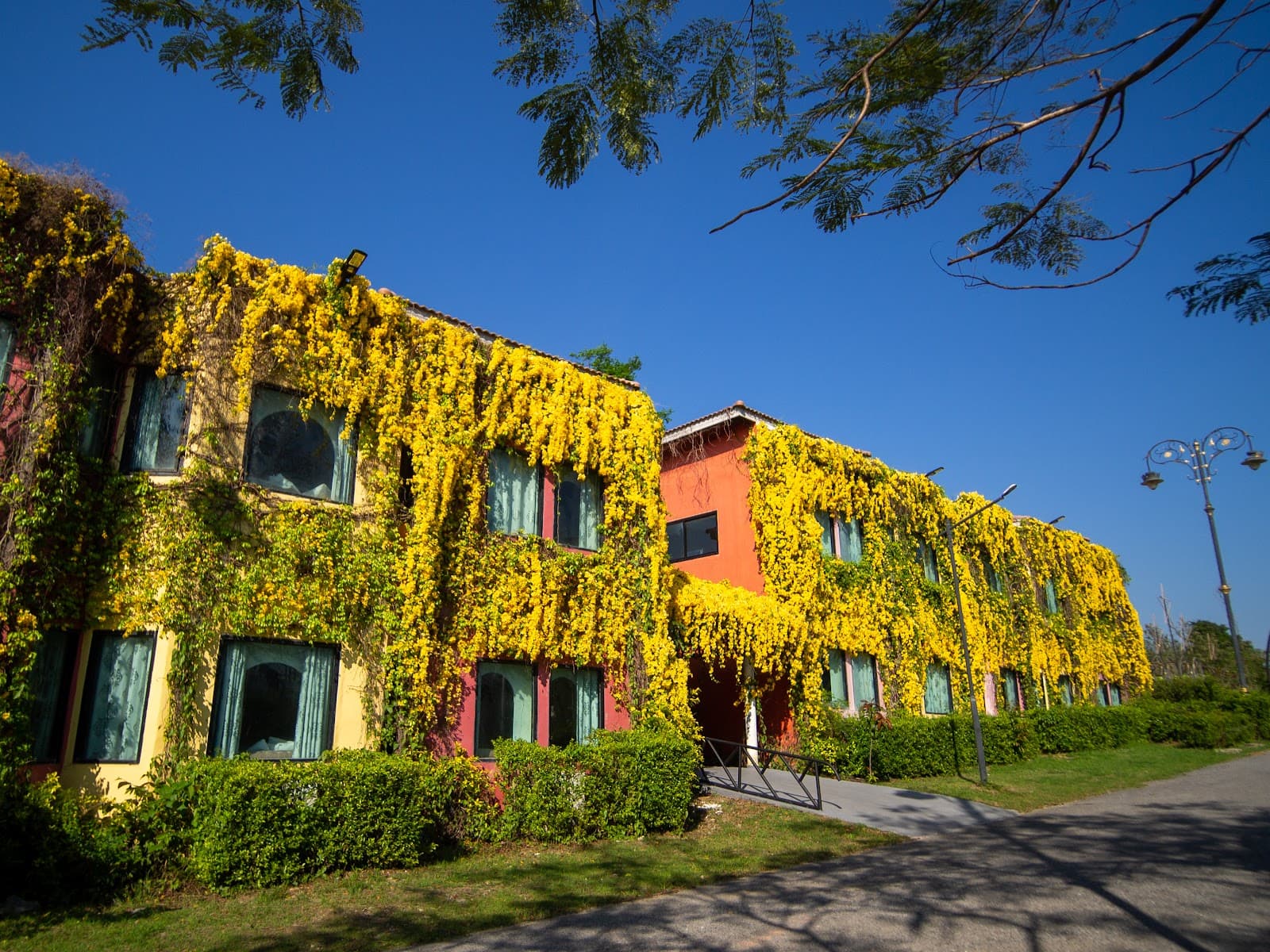 The Bloom Khao Yai - Image 1