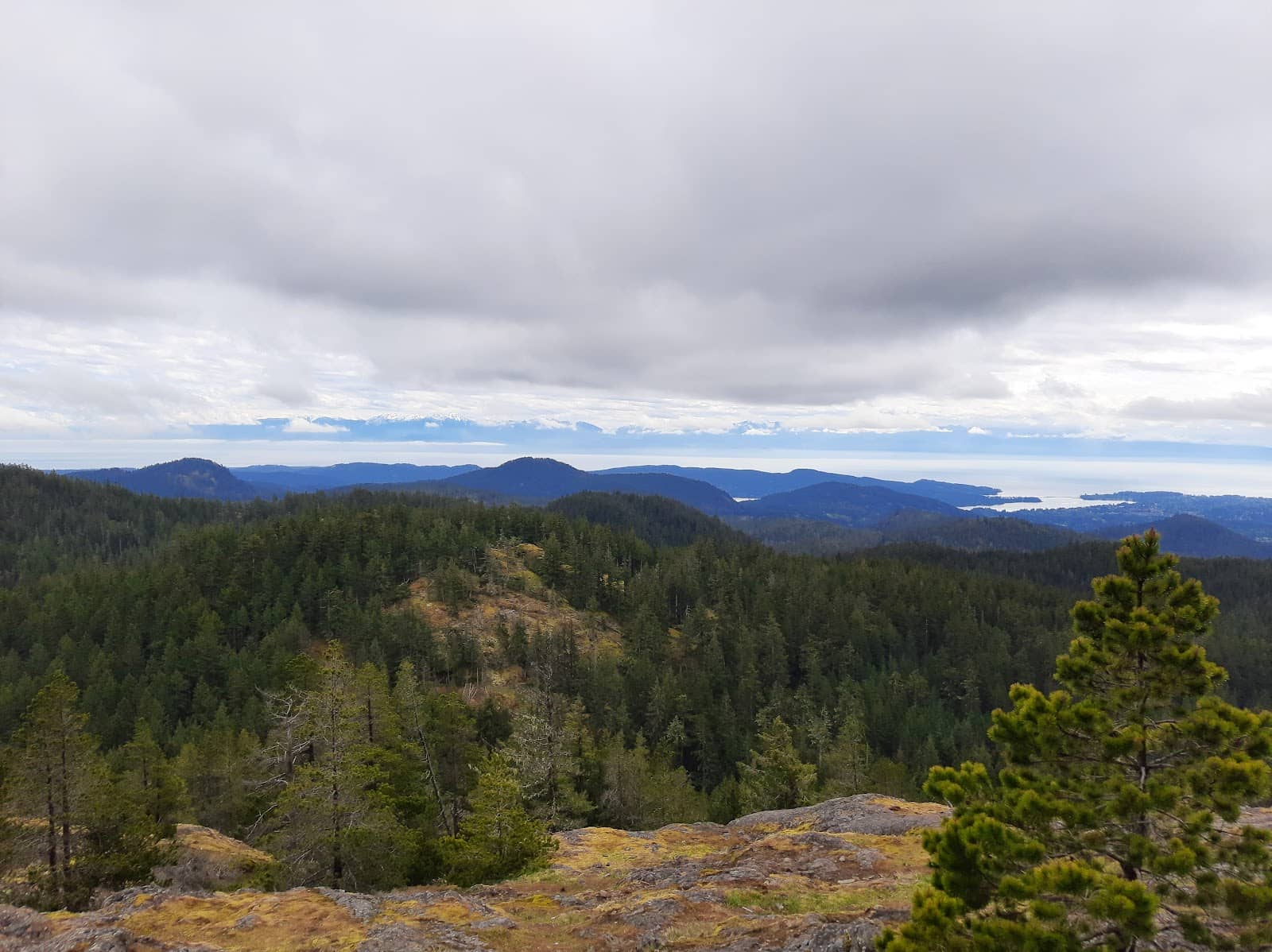 Diverse Trail Network