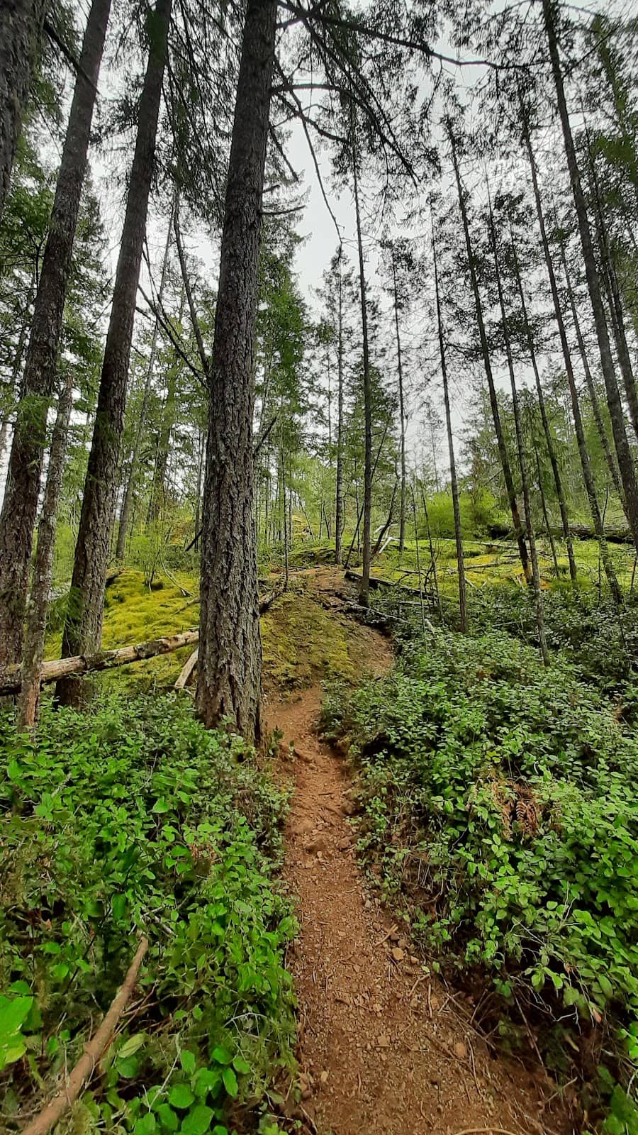 Vertical photo