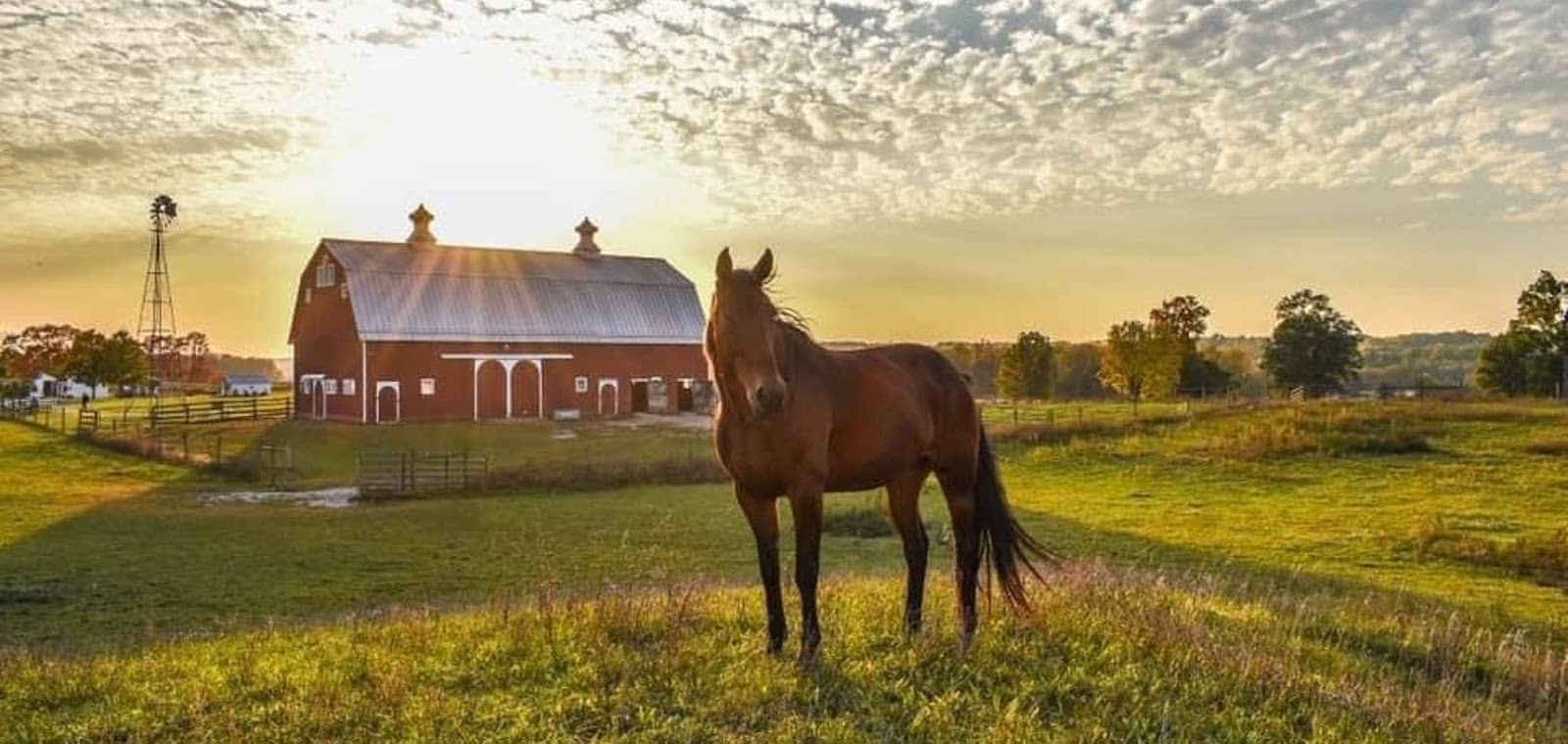 Farm-Fresh Products