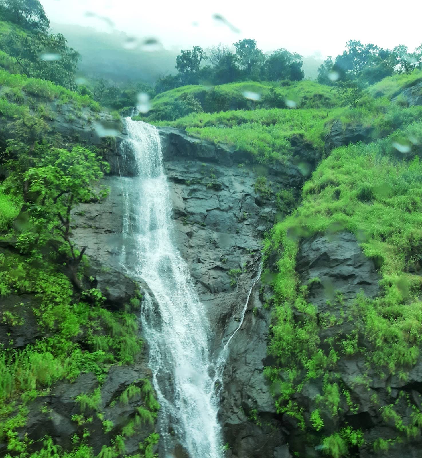 Vertical photo