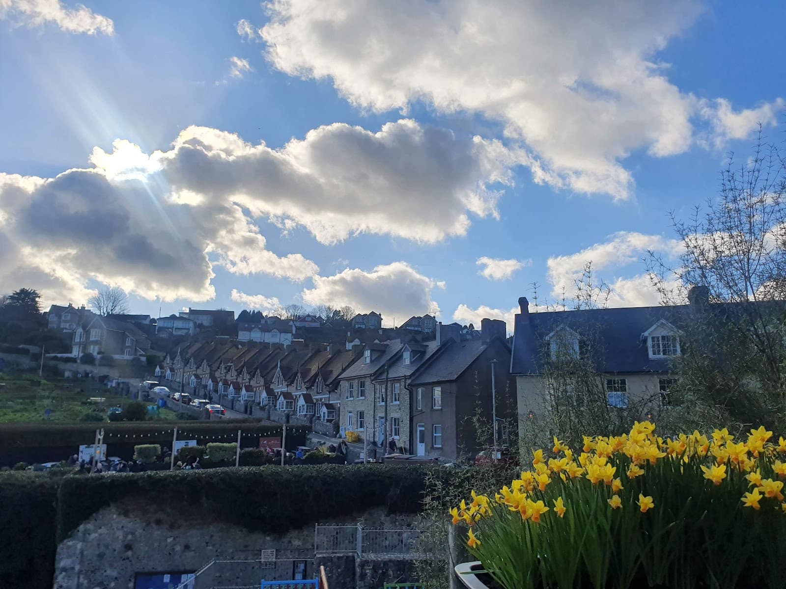 Beer Devon - Image 1