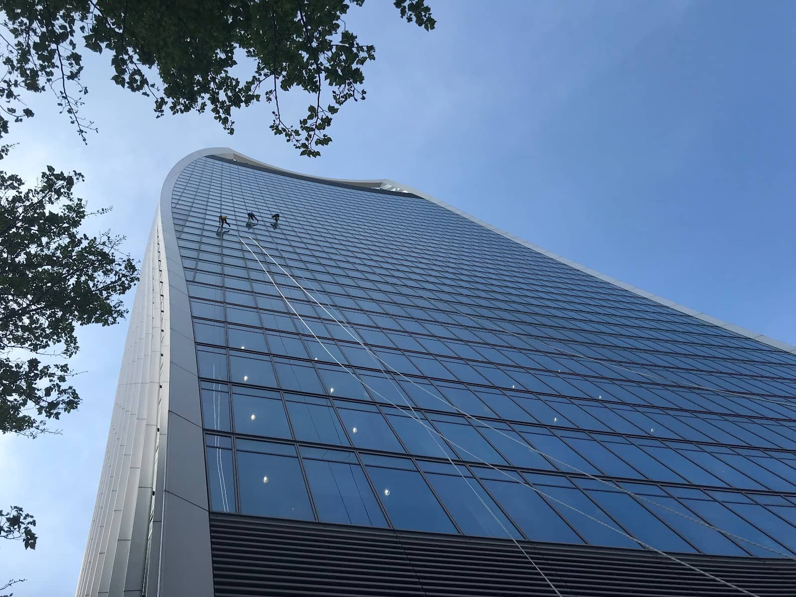 Vertical photo