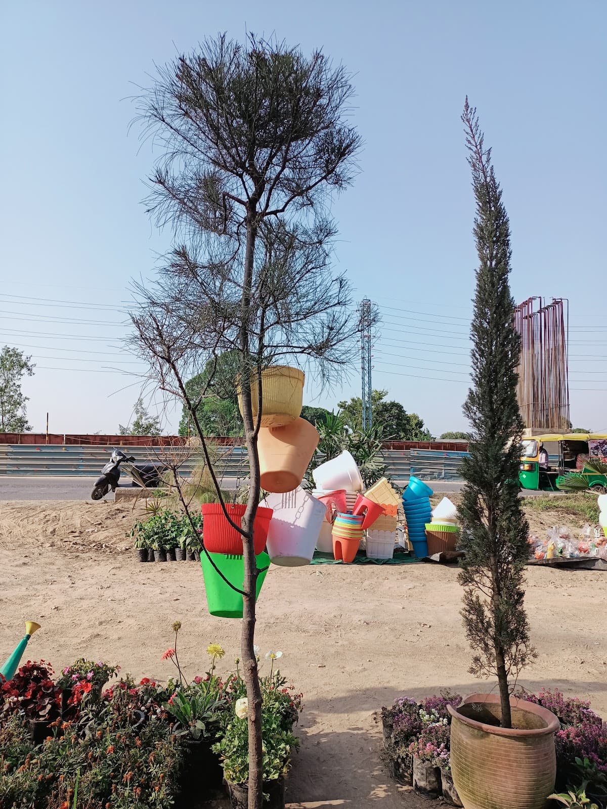 PAU Rose Garden - Image 1