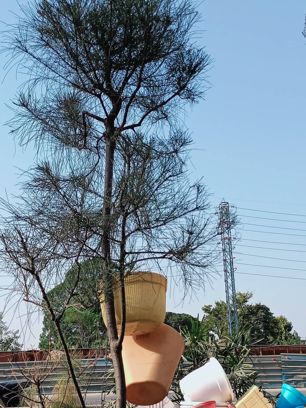 Vertical photo