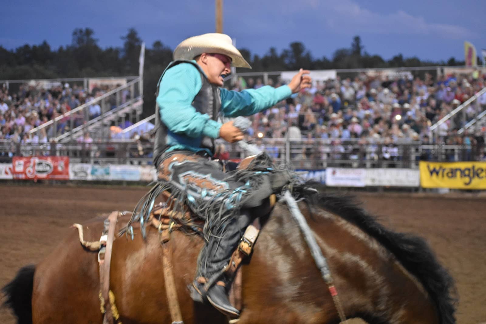 Community Events & Festivals