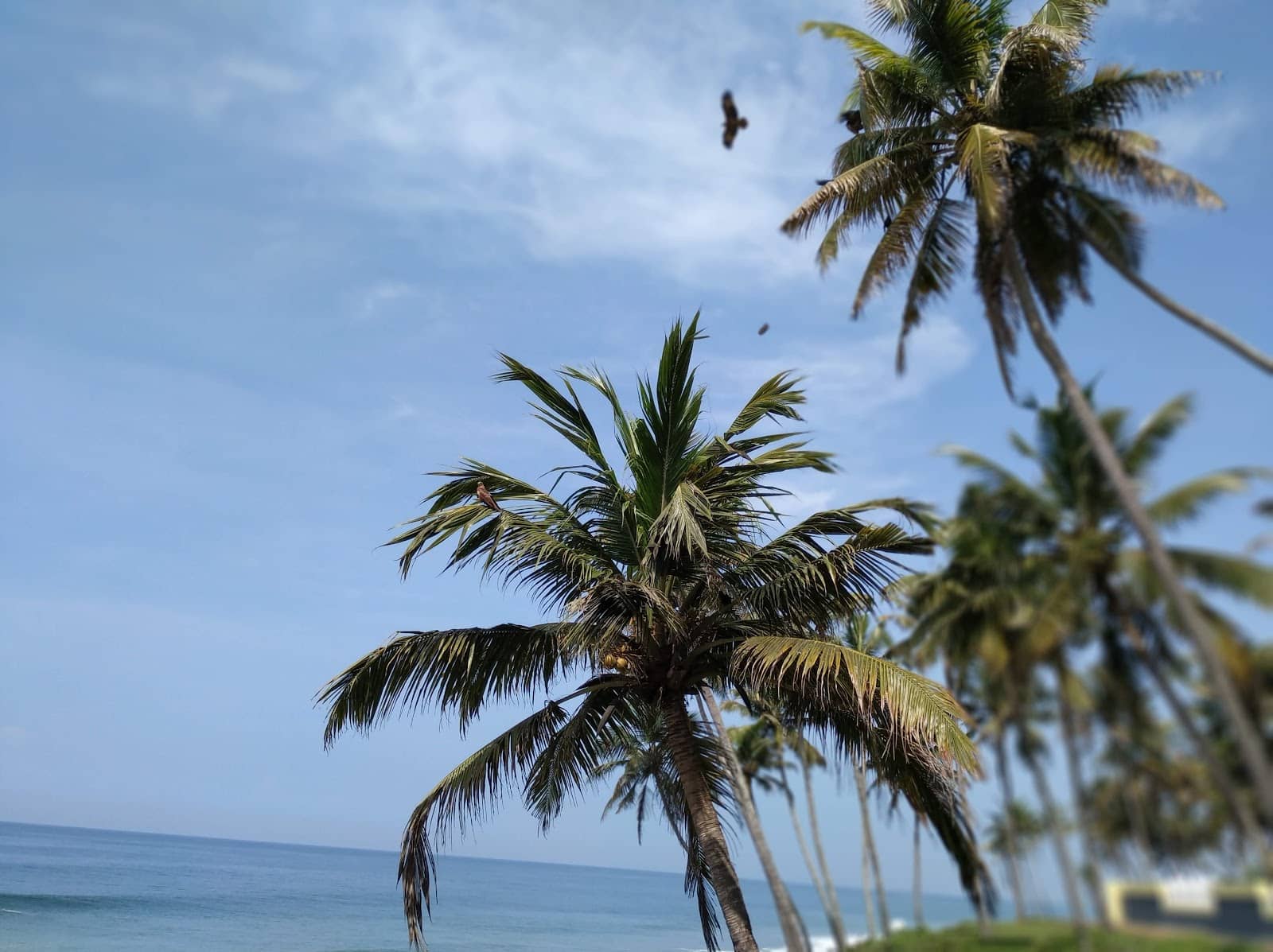 Vertical photo