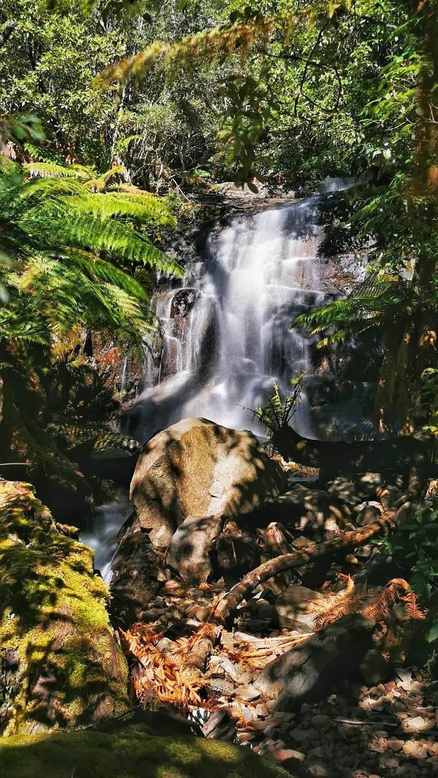 Collins Cap - Image 1