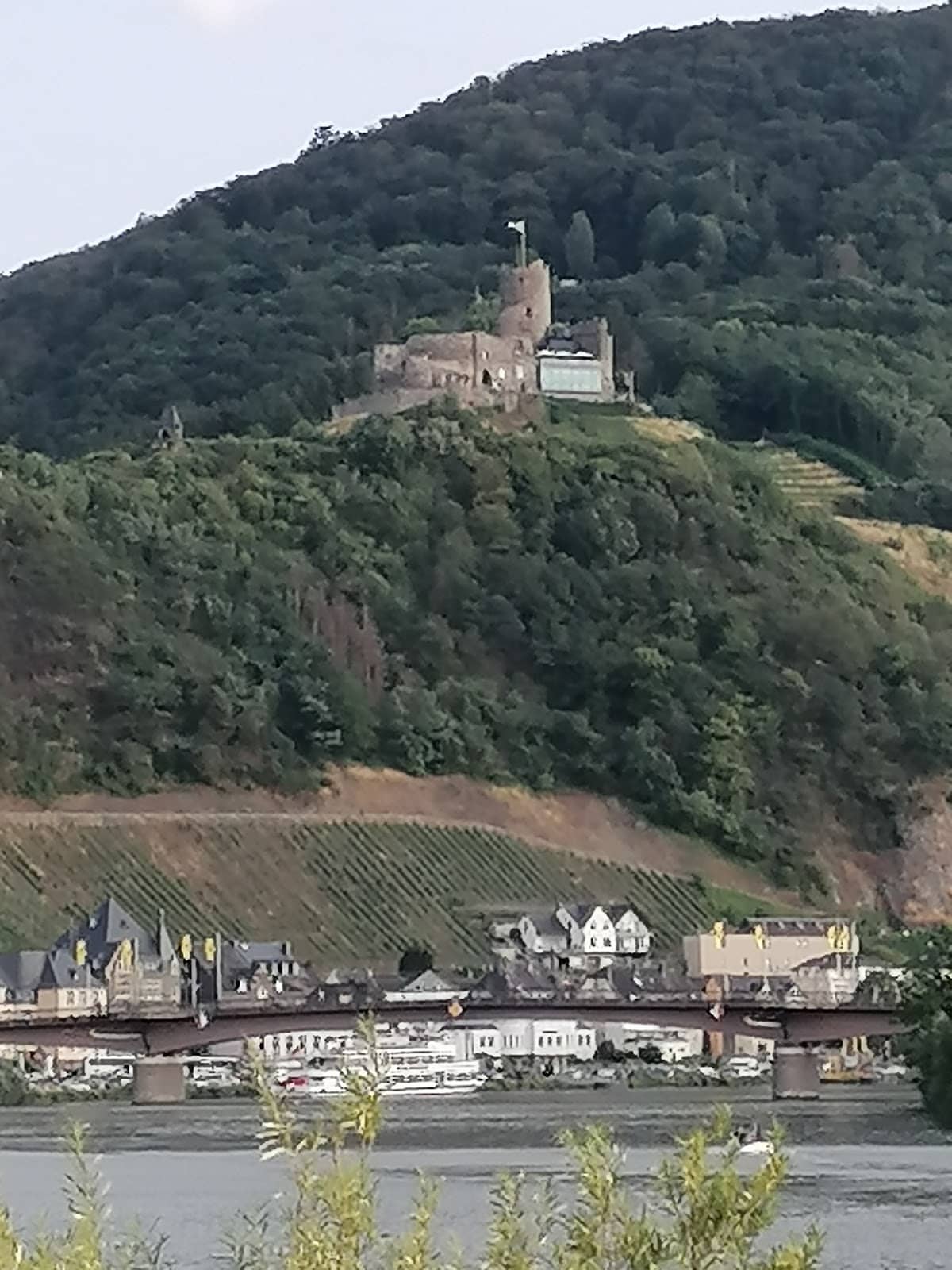 Vertical photo