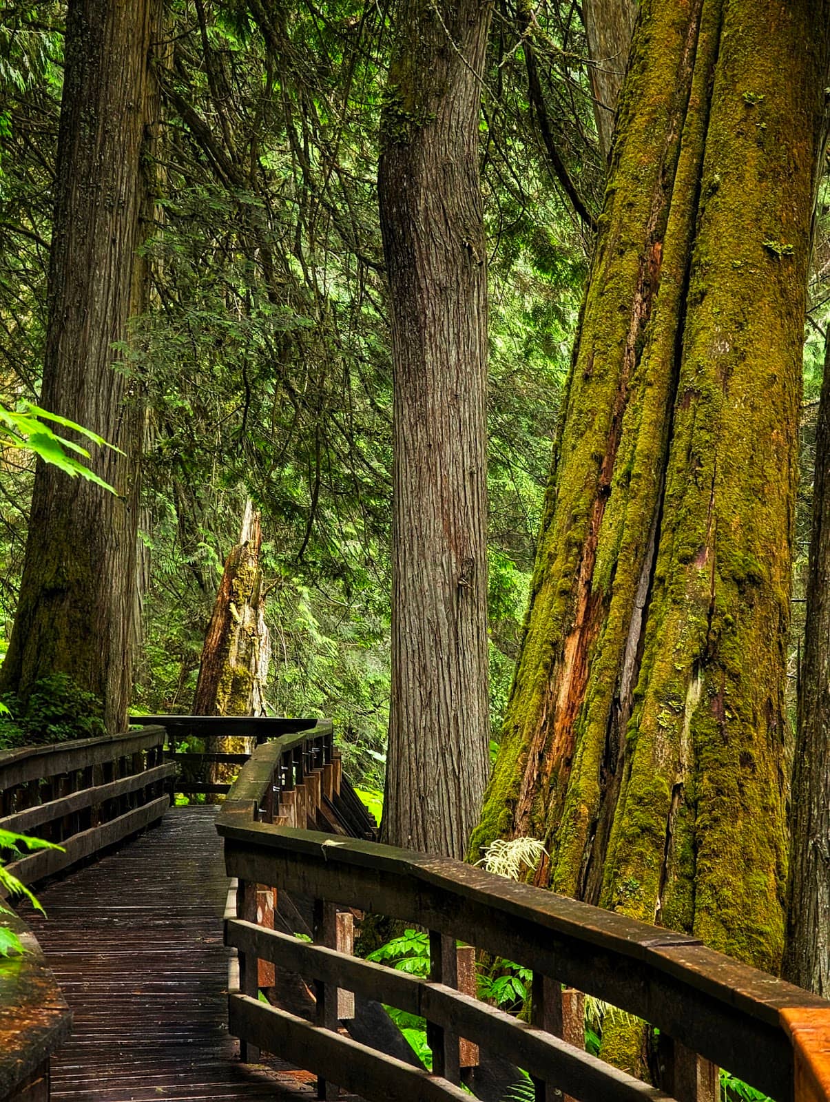 Waterfall Viewpoint