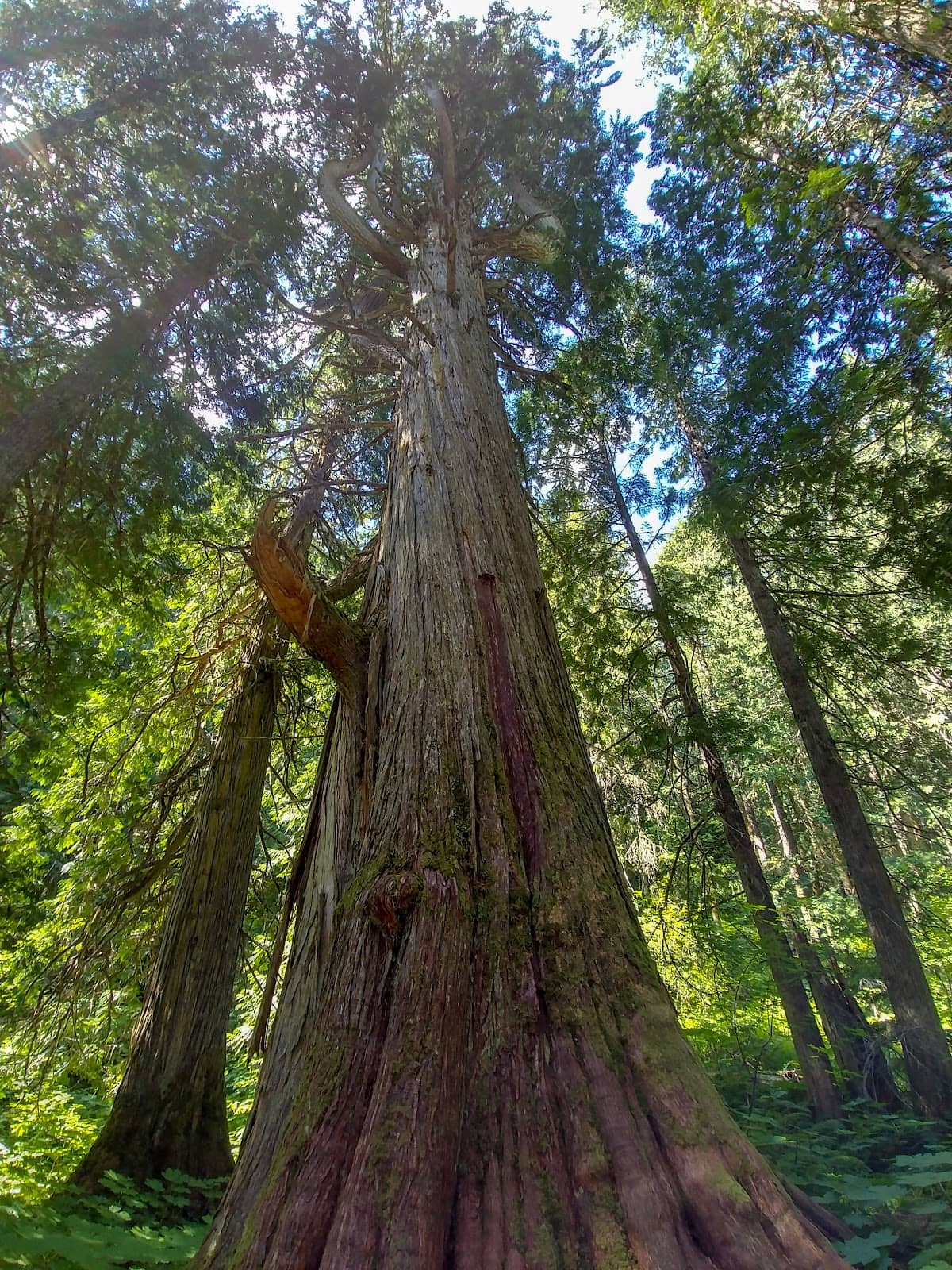 Vertical photo