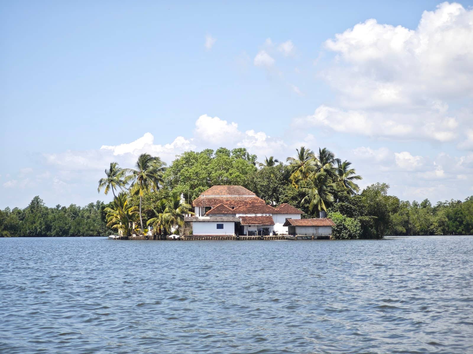 Birdwatching Paradise