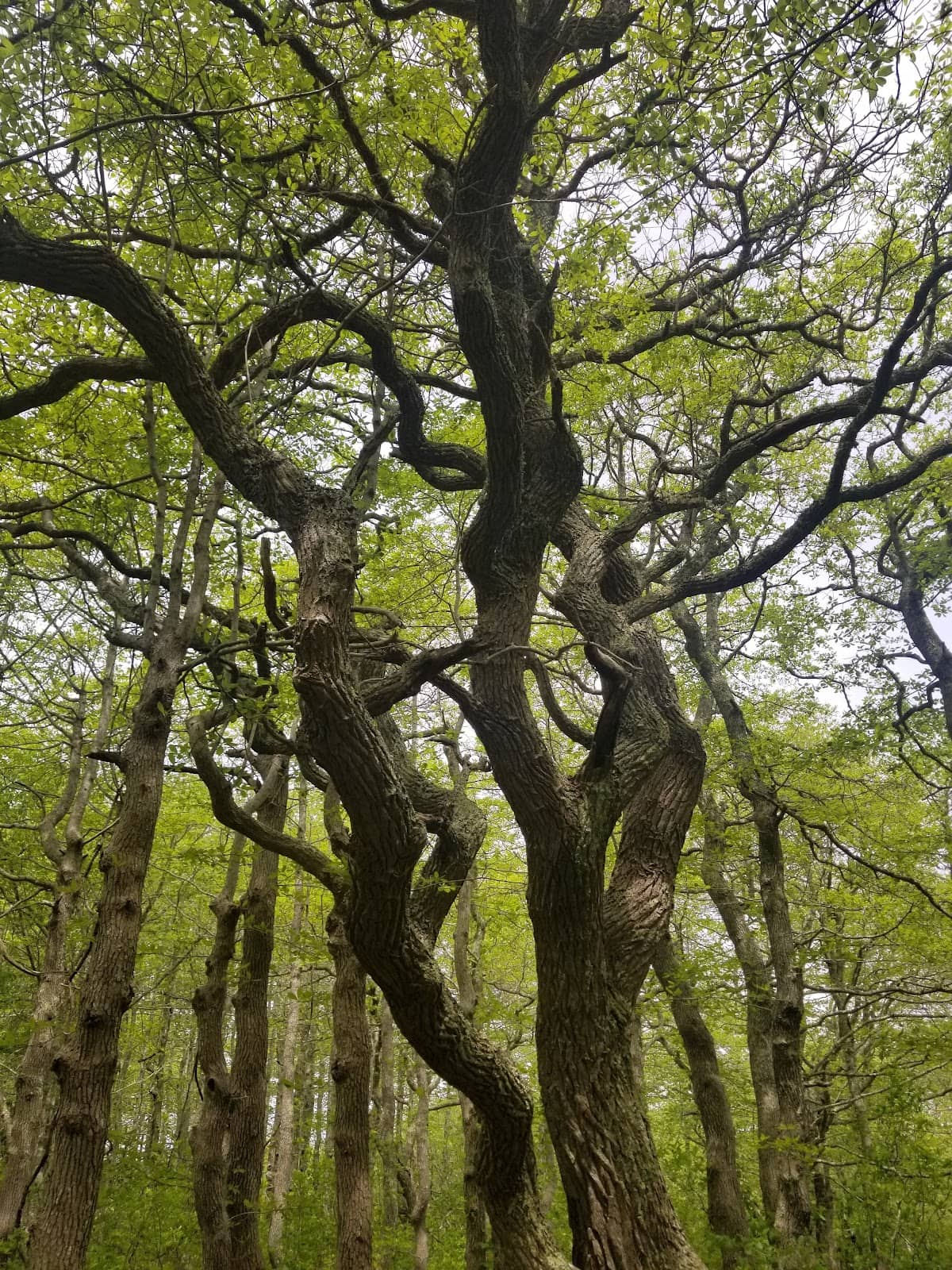 Vertical photo