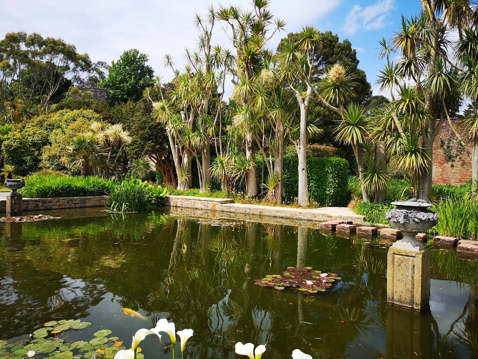 Conservatory Delights